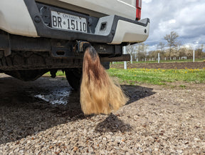 Pony Tail Hitch Cover -12" Long - Multi Color