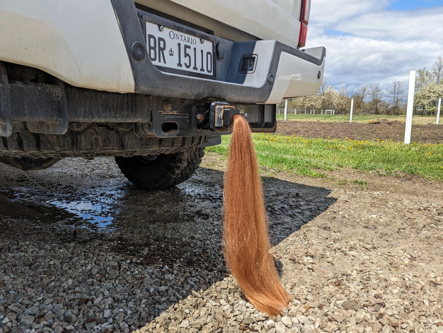 Pony Tail Hitch Cover - 15" Long - Brown